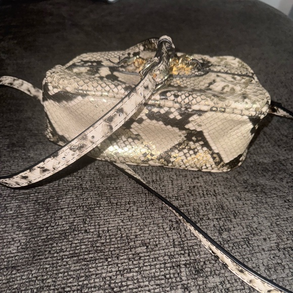 Steve Madden Snake Print Mini Crossbody Camera Bag Gold Chain Beige Black - Picture 15 of 15